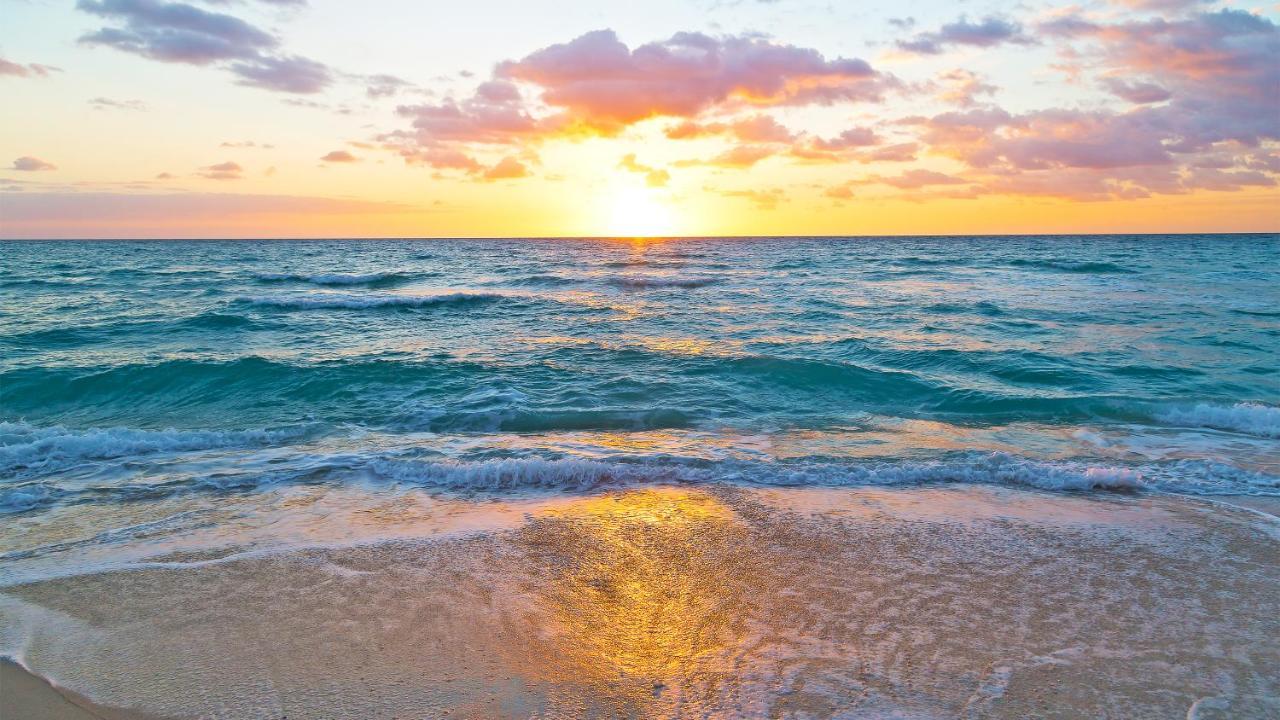 Budget Friendly Condo Perfect For A Romantic Getaway Within Walking Distance To The Beach! Gulf Shores Exterior foto
